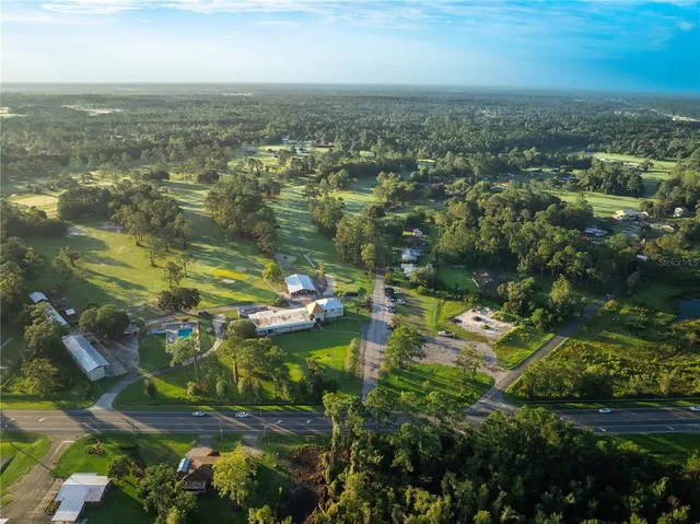 an aerial view of residential houses with outdoor space and trees