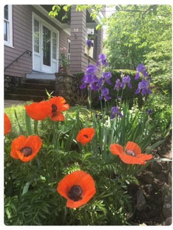 50 Warwick Road Melrose, MA 02176 - Photo 31 of 31 Gallery Image 31