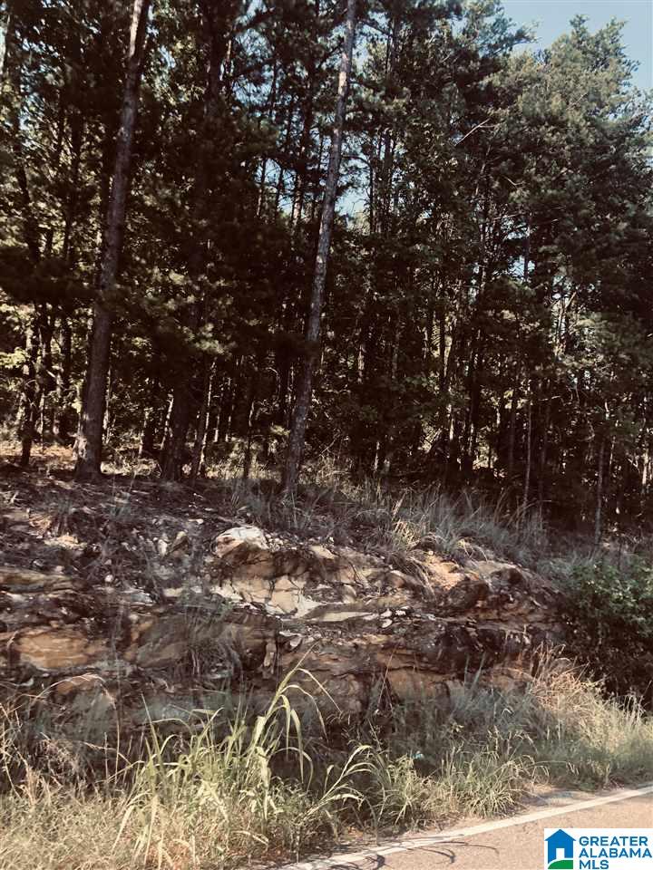 Lot 2 Ridgewood Lane, Unit 2 Odenville, AL 35120 - Photo 3 of 3