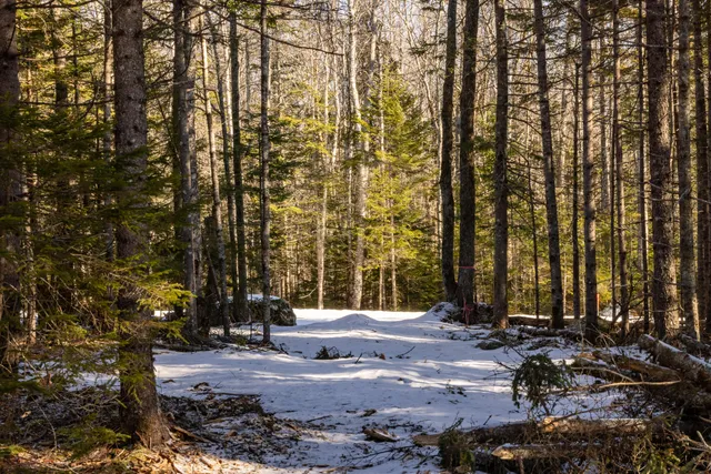 $99,000 | 10-4m Forest Hill Lane, Surry, ME 04684