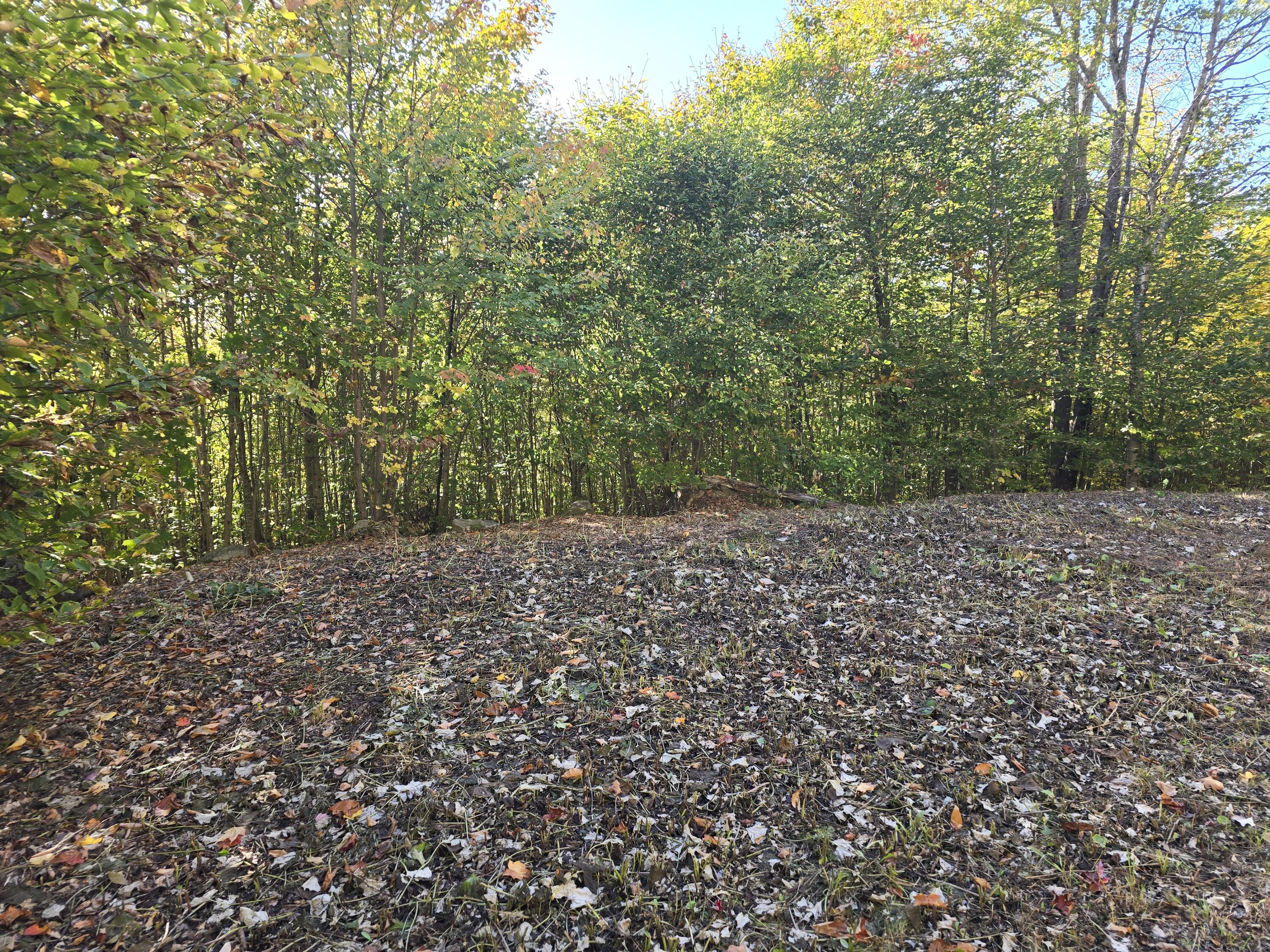 Lot 25-6w Bates Ridge Road Houlton, ME 04730 - Photo 5 of 8 20250927_155844