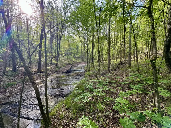 $189,000 | 828 McCord Hollow Road, Hohenwald, TN 38462