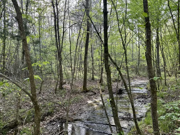 $189,000 | 828 McCord Hollow Road, Hohenwald, TN 38462