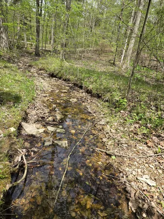 $189,000 | 828 McCord Hollow Road, Hohenwald, TN 38462