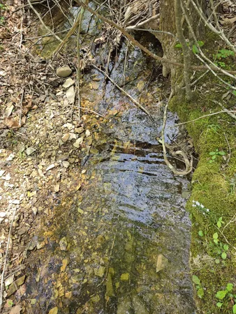 $189,000 | 828 McCord Hollow Road, Hohenwald, TN 38462