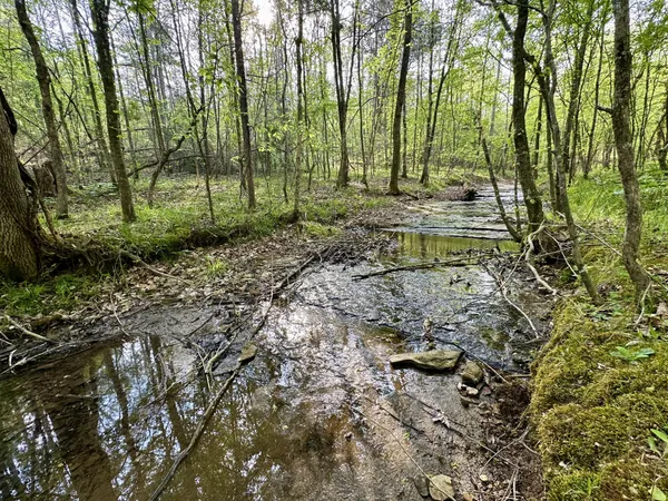 $189,000 | 828 McCord Hollow Road, Hohenwald, TN 38462