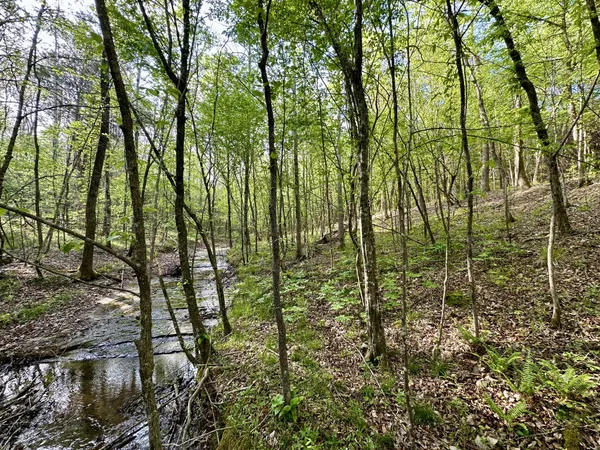 $189,000 | 828 McCord Hollow Road, Hohenwald, TN 38462