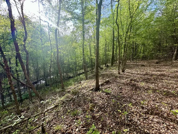 $189,000 | 828 McCord Hollow Road, Hohenwald, TN 38462