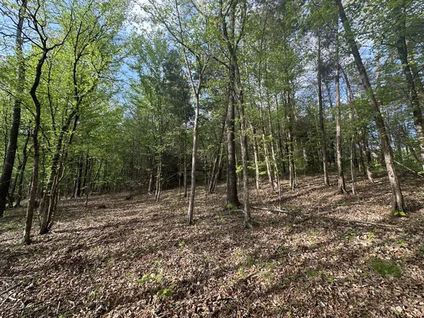 $189,000 | 828 McCord Hollow Road, Hohenwald, TN 38462