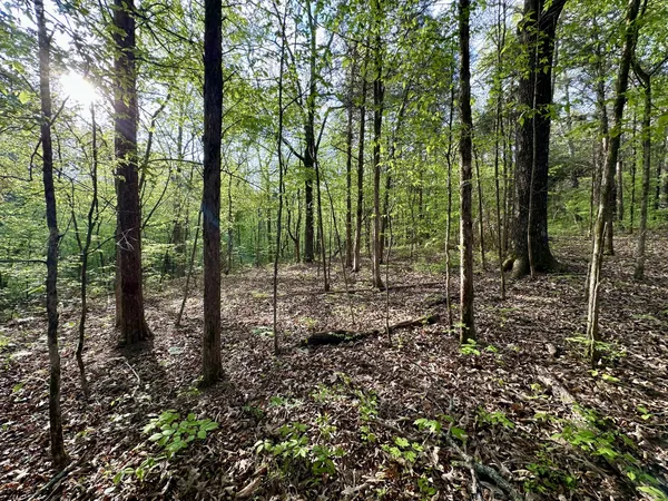 $189,000 | 828 McCord Hollow Road, Hohenwald, TN 38462