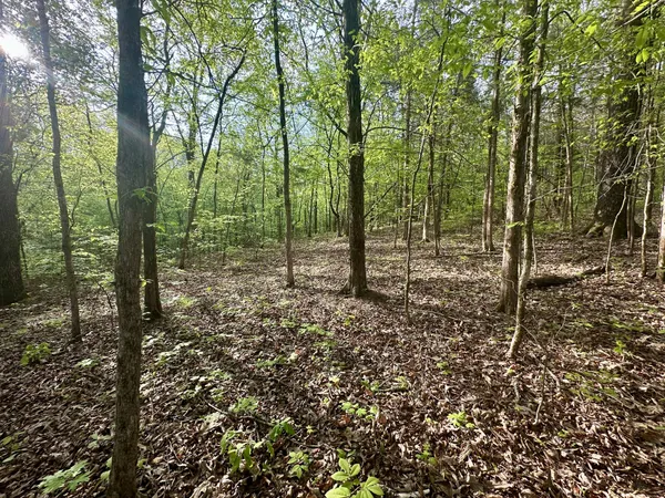 $189,000 | 828 McCord Hollow Road, Hohenwald, TN 38462