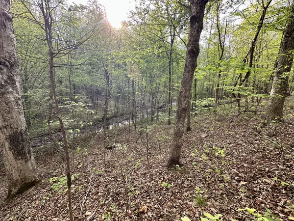 $189,000 | 828 McCord Hollow Road, Hohenwald, TN 38462