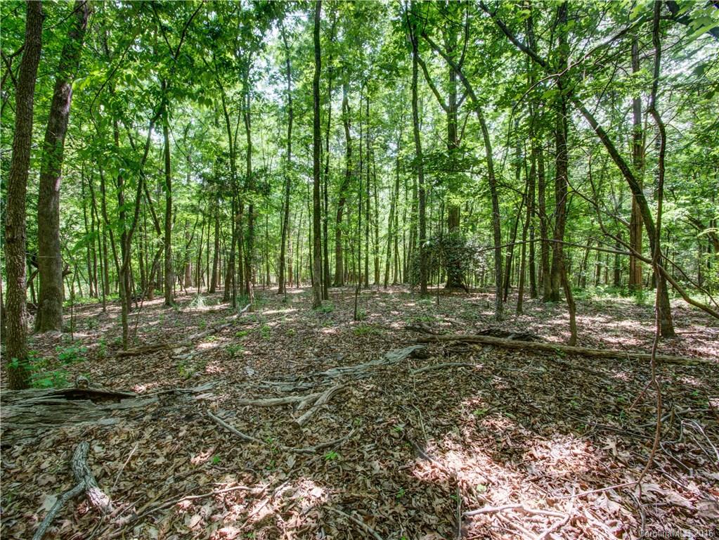 6422 Sharon Hills Road Charlotte, NC 28210 - Photo 22 of 24 Gallery Image 22