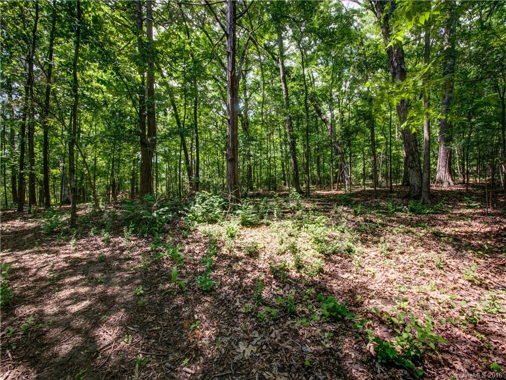 6422 Sharon Hills Road Charlotte, NC 28210 - Photo 23 of 24 Gallery Image 23