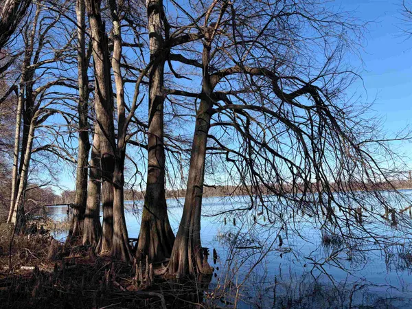 $140,000 | 8163 Horseshoe Circle, Hughes, AR 72348