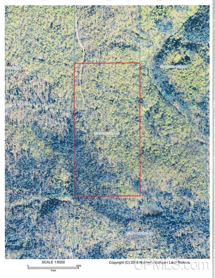 80 SOUTH Off Co Road Ishpeming, MI 49849 - Photo 18 of 20