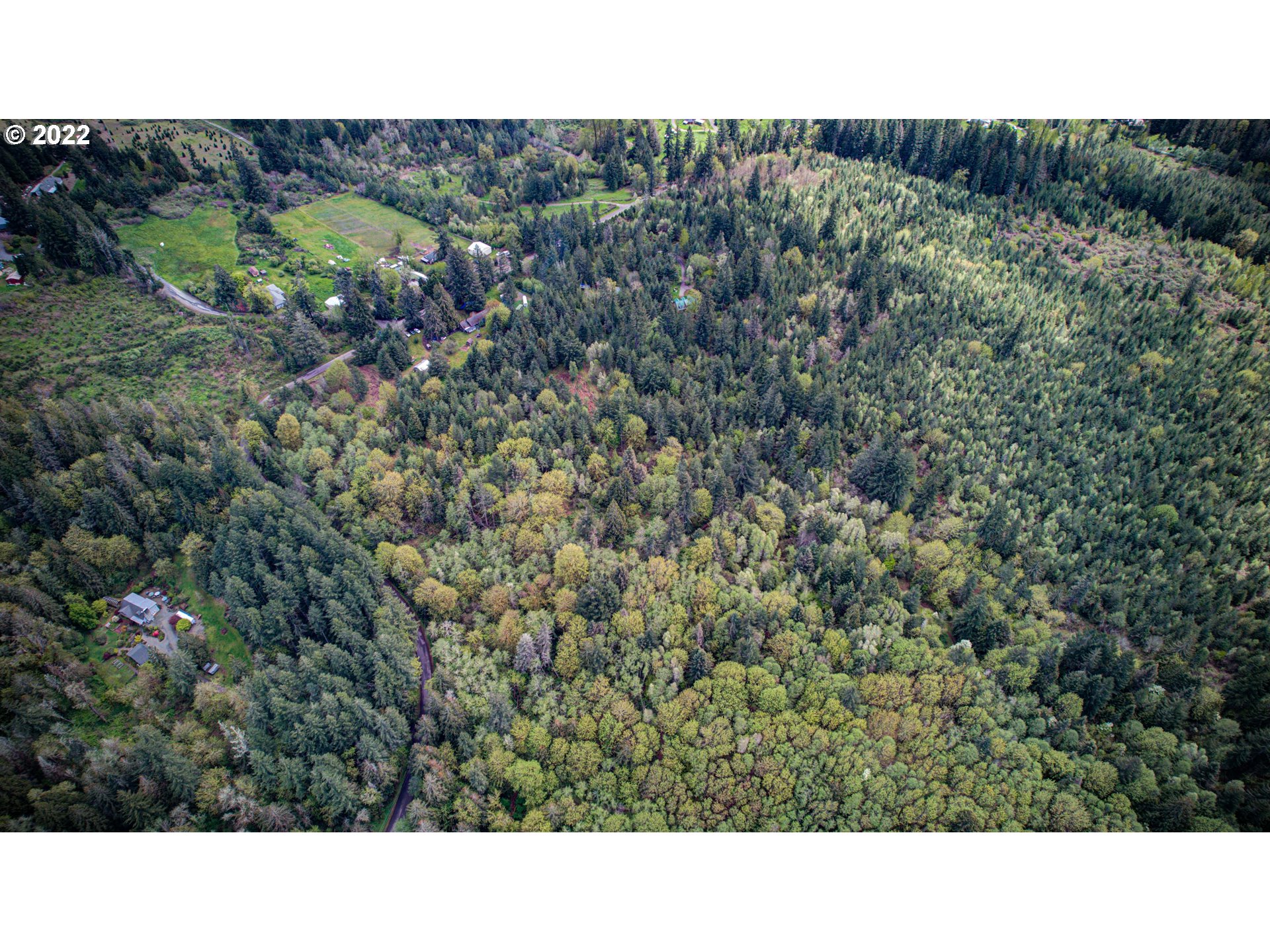 29223 South Hult Road Colton, OR 97017 - Photo 5 of 30 a open area with green field and trees