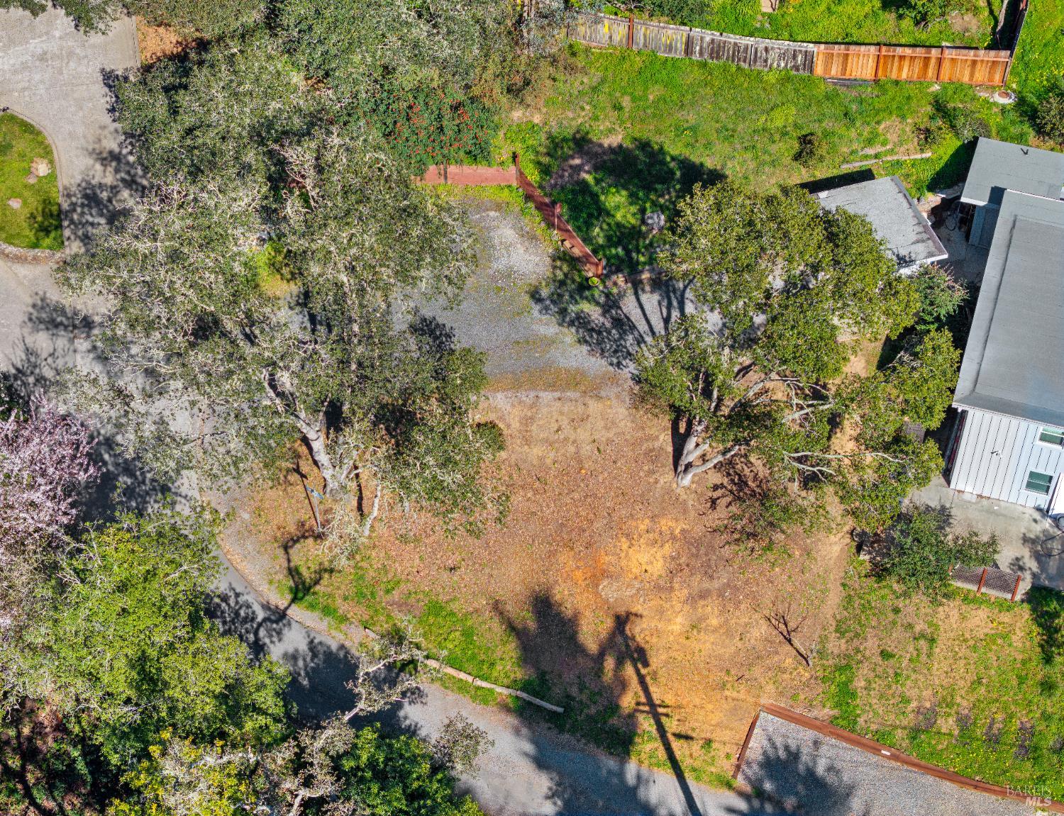320 Tennessee Avenue Mill Valley, CA 94941 - Photo 5 of 7 a view of a garden with plants and large trees