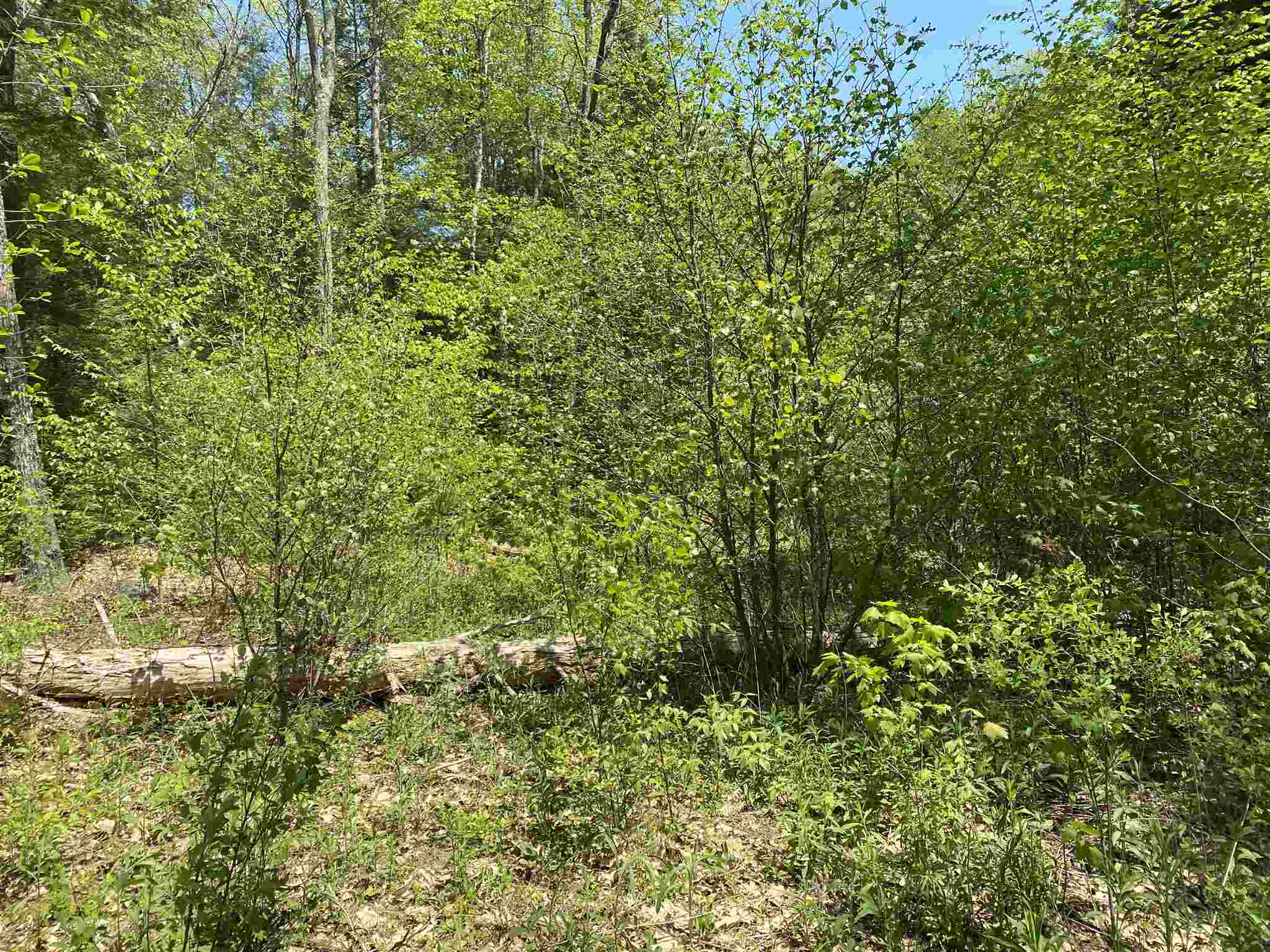 0 Old Swanzey Road Spofford, NH 03462 - Photo 3 of 4