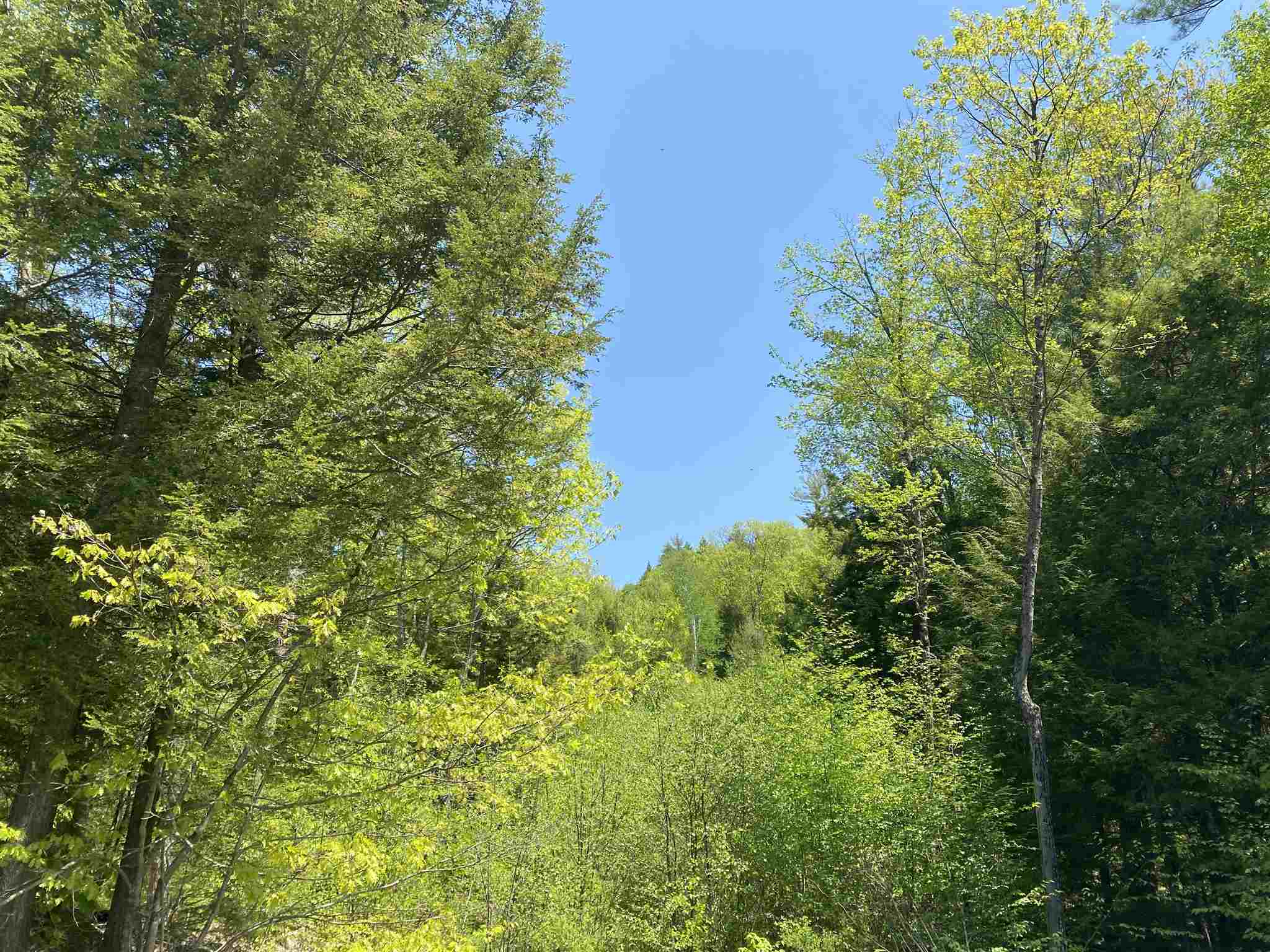 0 Old Swanzey Road Spofford, NH 03462 - Photo 4 of 4