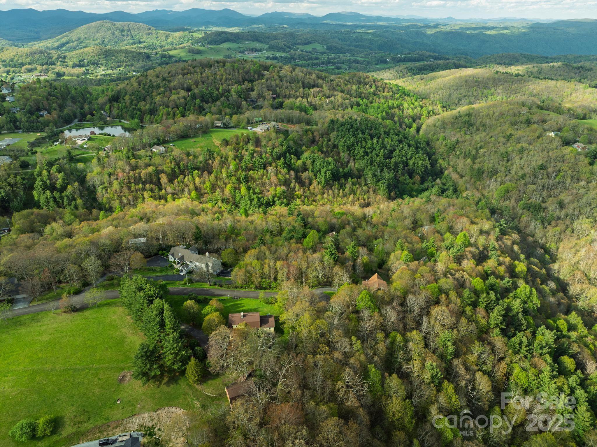 184 Buff Ridge Road Boone, NC 28607 - Photo 33 of 42 a view of a lush green forest with lush green forest