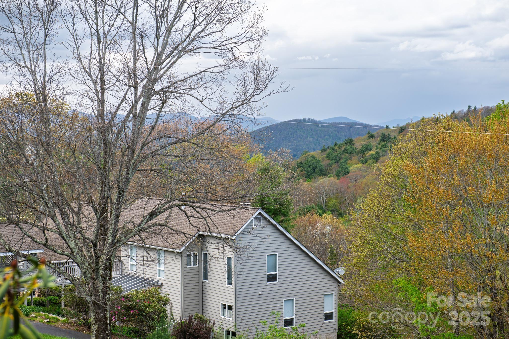 184 Buff Ridge Road Boone, NC 28607 - Photo 36 of 42 a view of a house with a yard