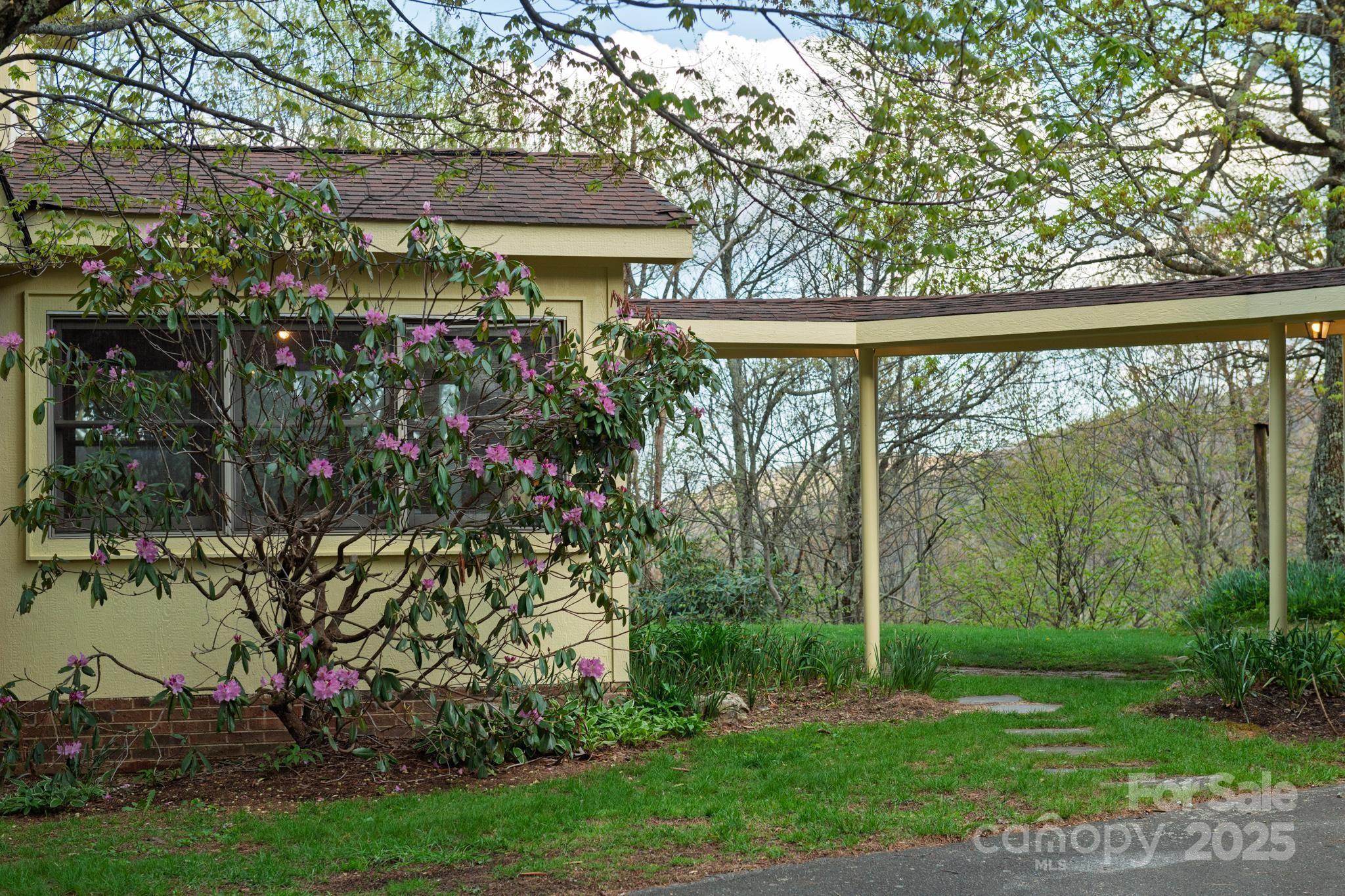 184 Buff Ridge Road Boone, NC 28607 - Photo 39 of 42 a view of a backyard with plants