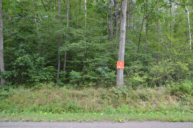 Lot # Hibbard Road Horseheads, NY 14845 - Photo 1 of 1 Gallery Image 1