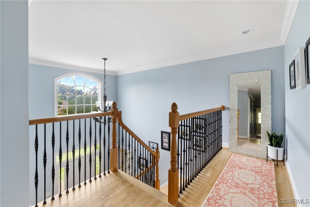 14149 Riverdowns S Drive Midlothian, VA 23113 - Photo 23 of 48 Hallway with an upstairs landing, wood finished fl