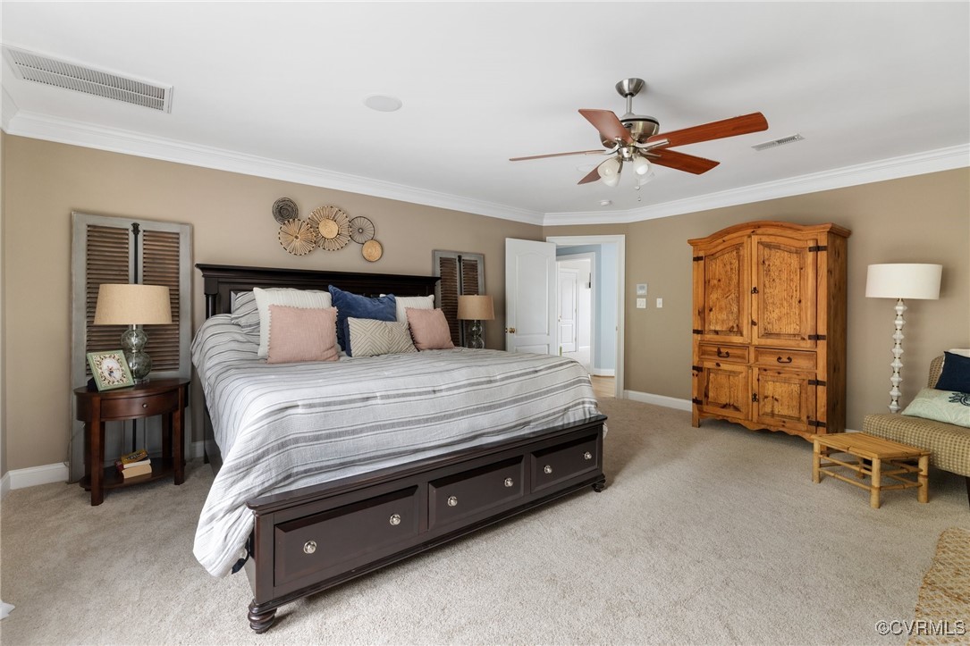 14149 Riverdowns S Drive Midlothian, VA 23113 - Photo 25 of 48 Bedroom featuring ornamental molding, light carpet