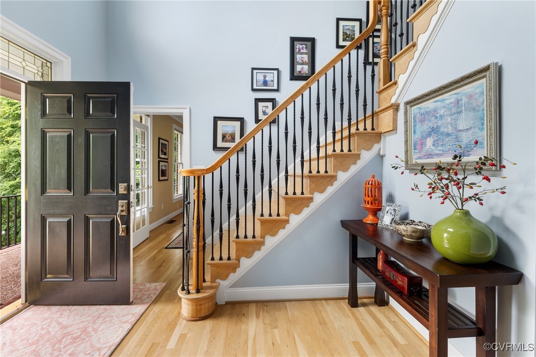 14149 Riverdowns S Drive Midlothian, VA 23113 - Photo 5 of 48 Entryway featuring baseboards, a towering ceiling,