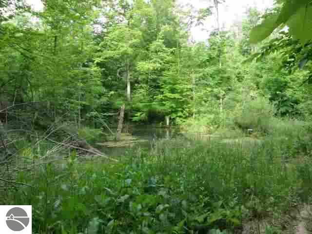 3148 Herring Road Arcadia, MI 49613 - Photo 11 of 11 1727835-10.JPG