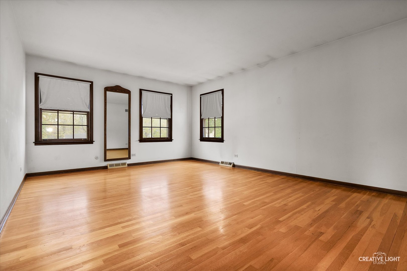 466 Carrol Gate Road Wheaton, IL 60189 - Photo 15 of 27 Gallery Image 15