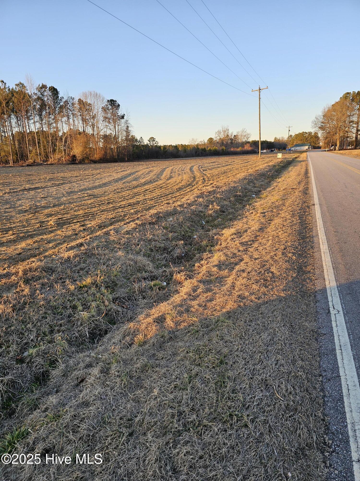 0 Eatmon Road Bailey, NC 27807 - Photo 2 of 2 Eatmon Rd 2.5 pic2