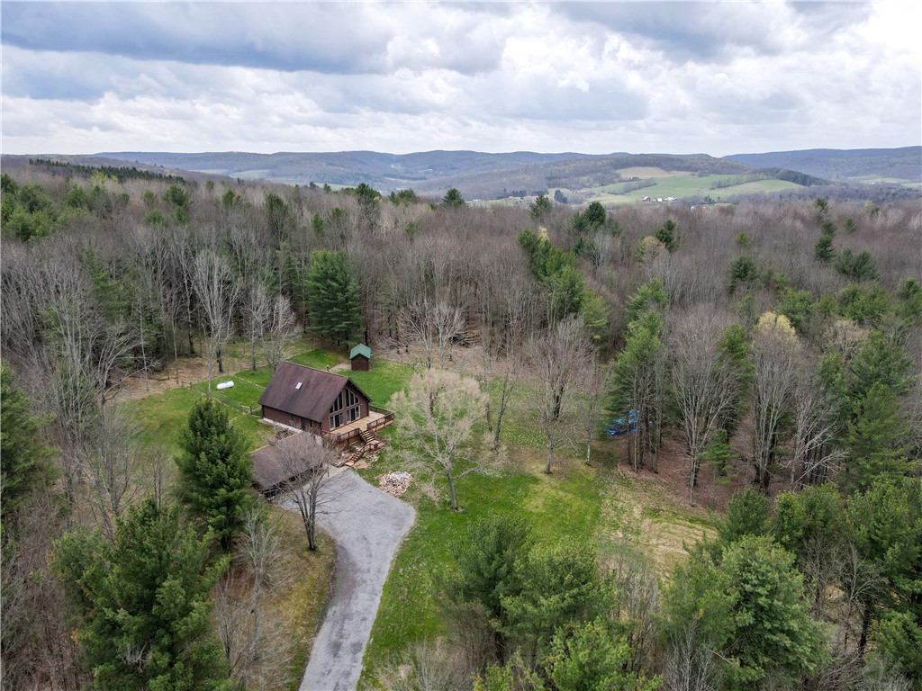 6943 Howard Road Friendship, NY 14739 - Photo 6 of 50