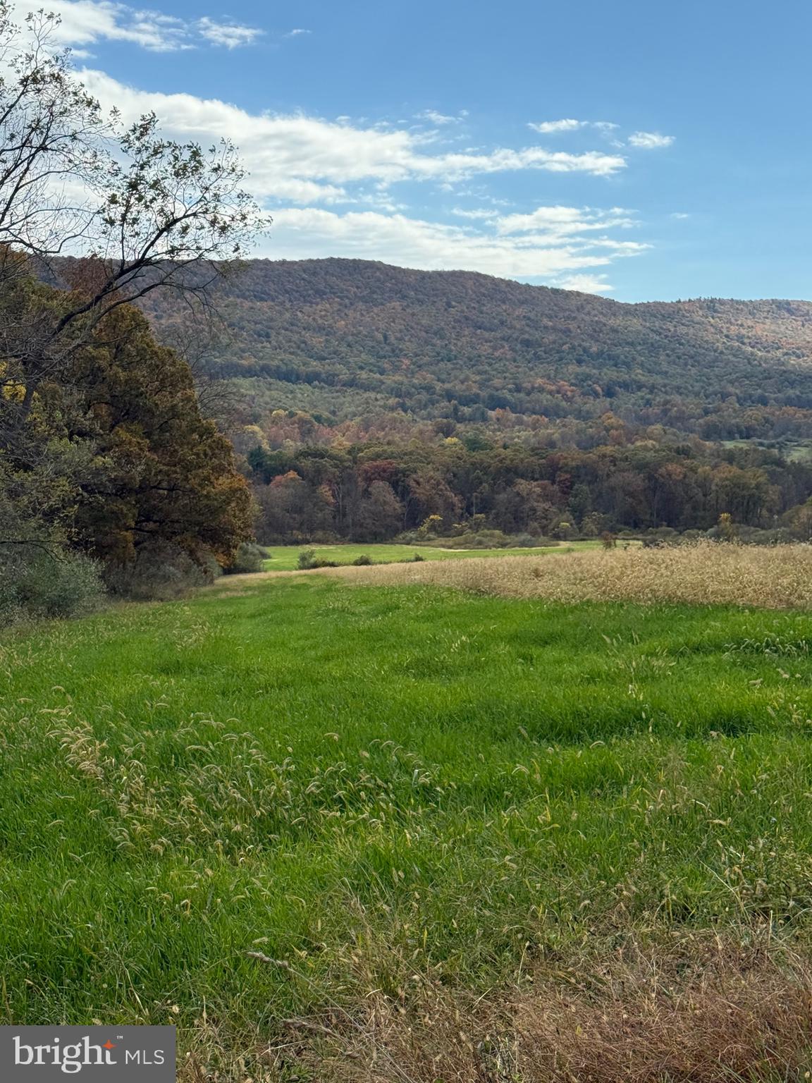 875 R And D Lane McConnellsburg, PA 17233 - Photo 19 of 38 View