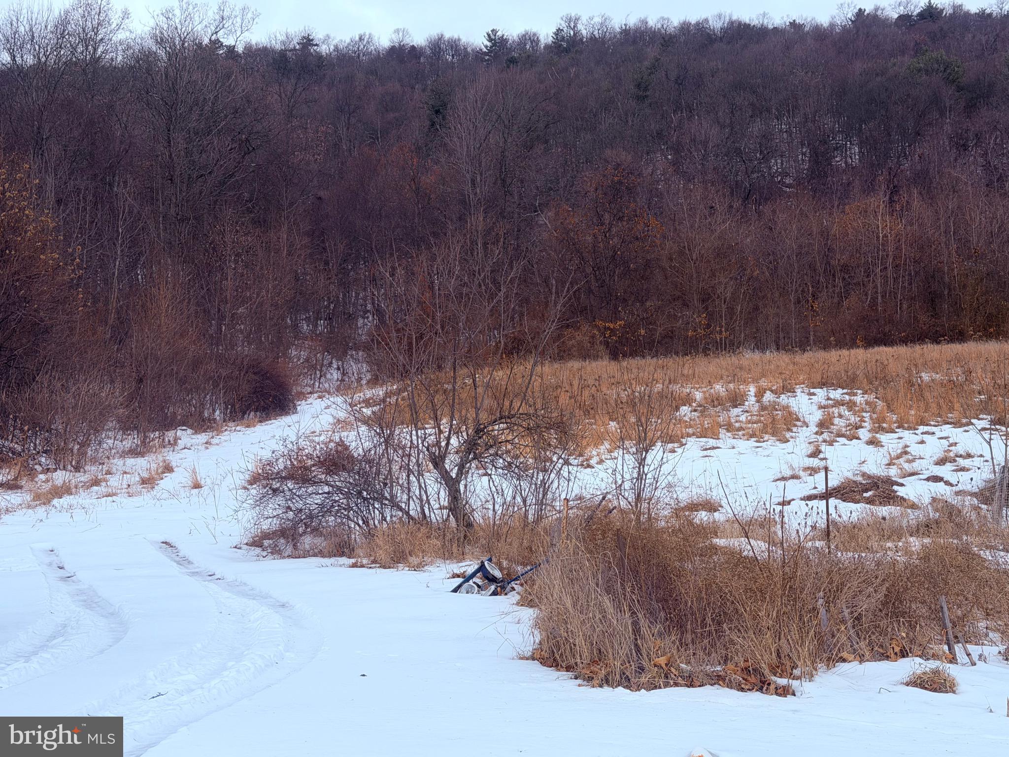 875 R And D Lane McConnellsburg, PA 17233 - Photo 26 of 38 Land Behind House