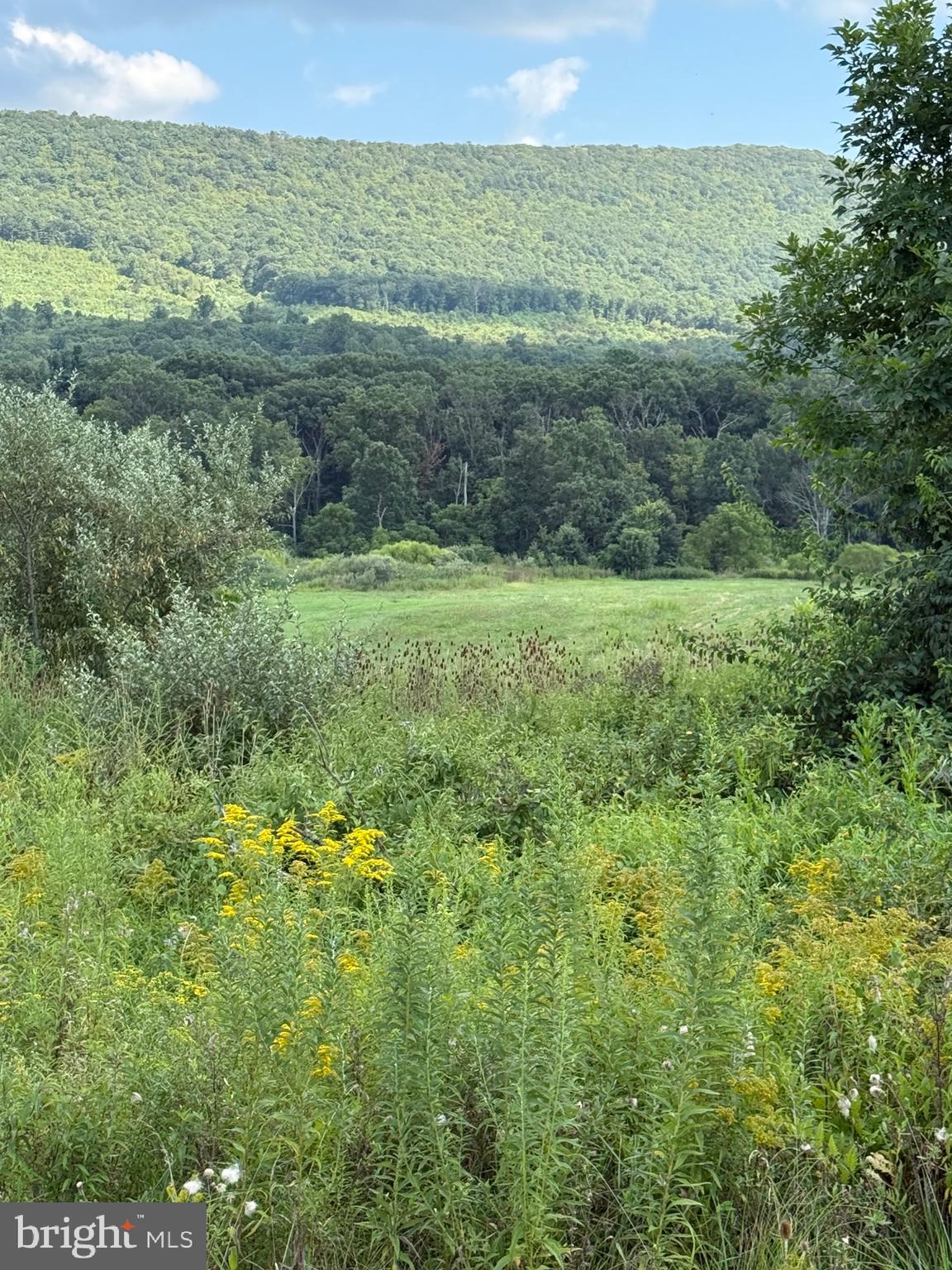 875 R And D Lane McConnellsburg, PA 17233 - Photo 9 of 38