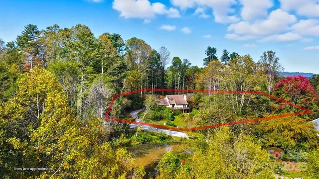 a view of a garden with flowers and trees