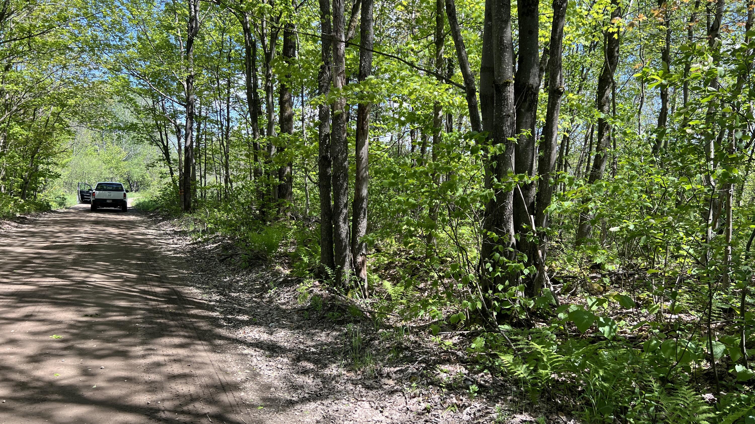 0 French Settlement Road Chateaugay, NY 12920 - Photo 11 of 15 Seasonally maintained road.