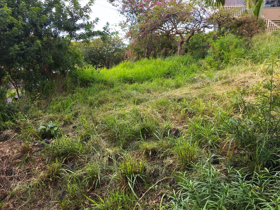 84 Datura Road Captain Cook, HI 96704 - Photo 4 of 14 Gallery Image 4