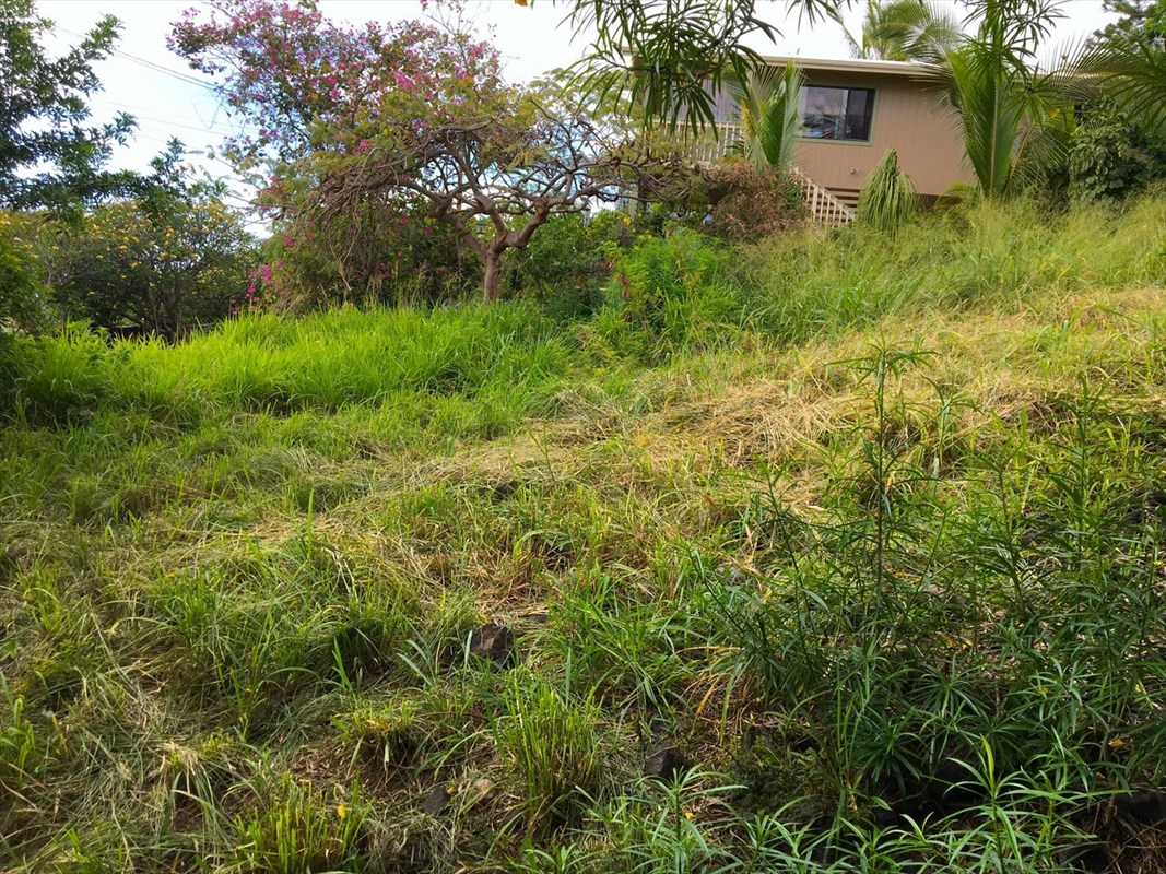 84 Datura Road Captain Cook, HI 96704 - Photo 7 of 14 Gallery Image 7