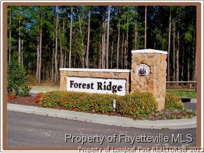125 Timberhurst Court Carthage, NC 28326 - Photo 2 of 2 a sign on the side of the road