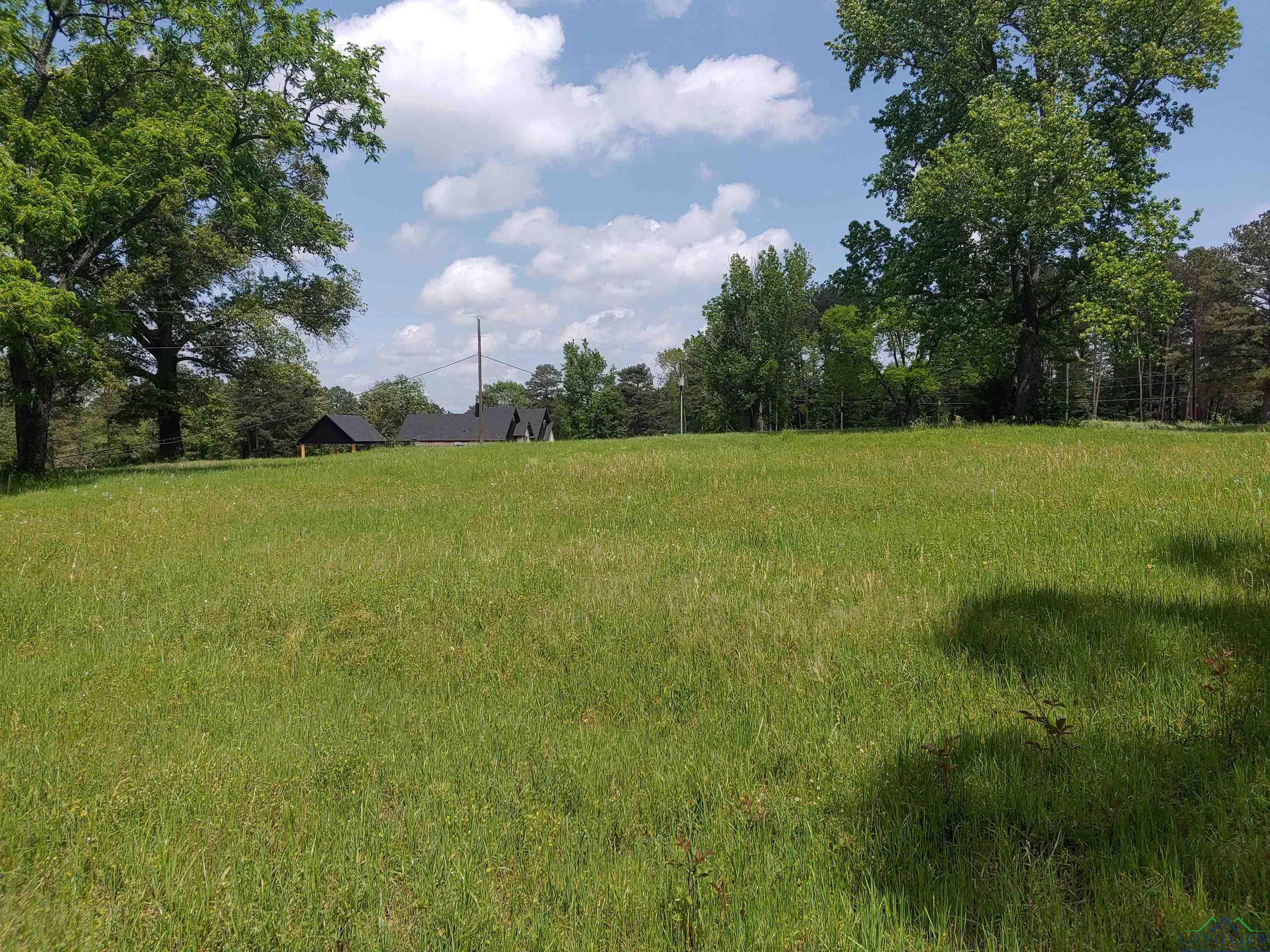 1101 Fire Tower Road Hallsville, TX 75650 - Photo 1 of 6 Gallery Image 1