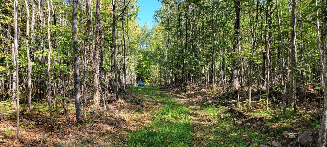 5-acres Sheep Ranch Road Phillips, WI 54555 - Photo 2 of 9 Gallery Image 2