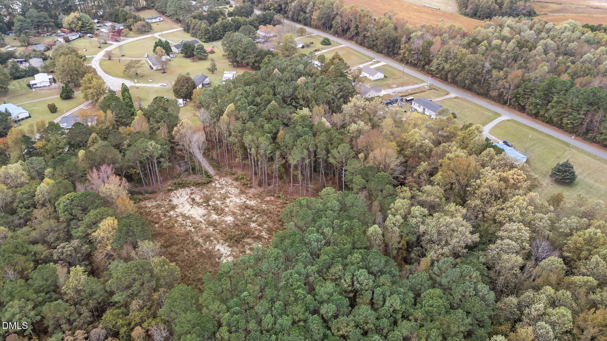 608 Fellowship Church Road Princeton, NC 27569 - Photo 5 of 7 a view of a yard