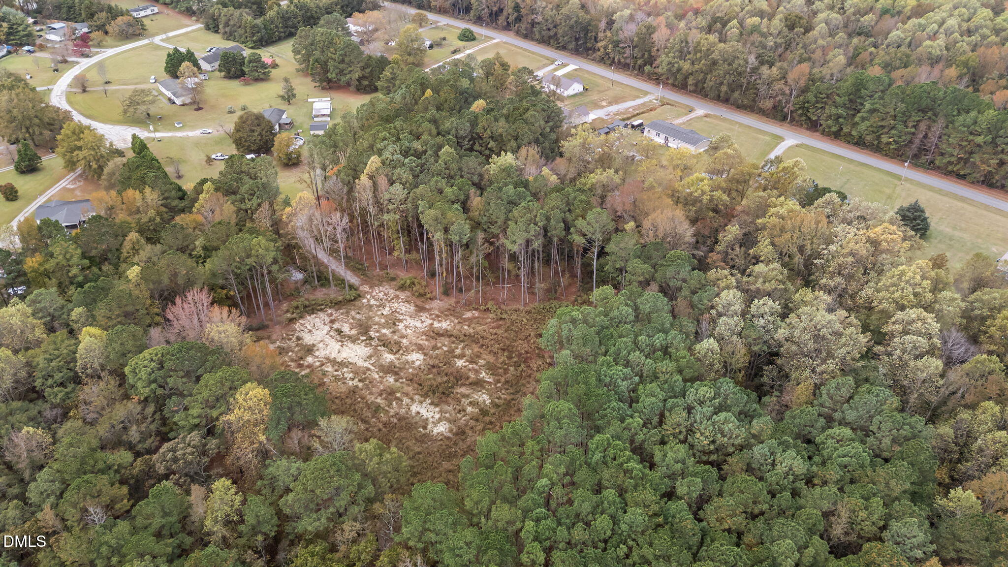 608 Fellowship Church Road Princeton, NC 27569 - Photo 6 of 7 a view of a forest with a forest