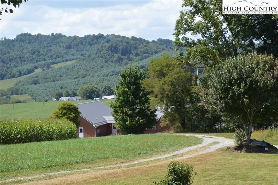 241 Shiloh Ch Road Sparta, NC 28675 - Photo 27 of 42 Gallery Image 27