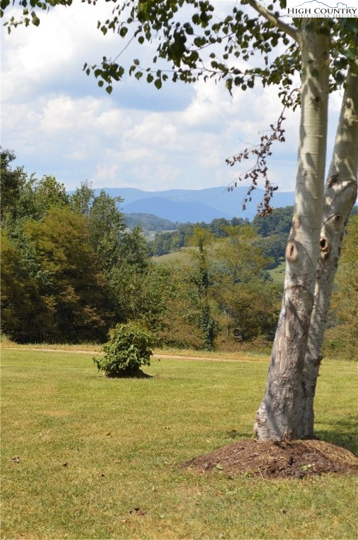 241 Shiloh Ch Road Sparta, NC 28675 - Photo 40 of 42 Gallery Image 40