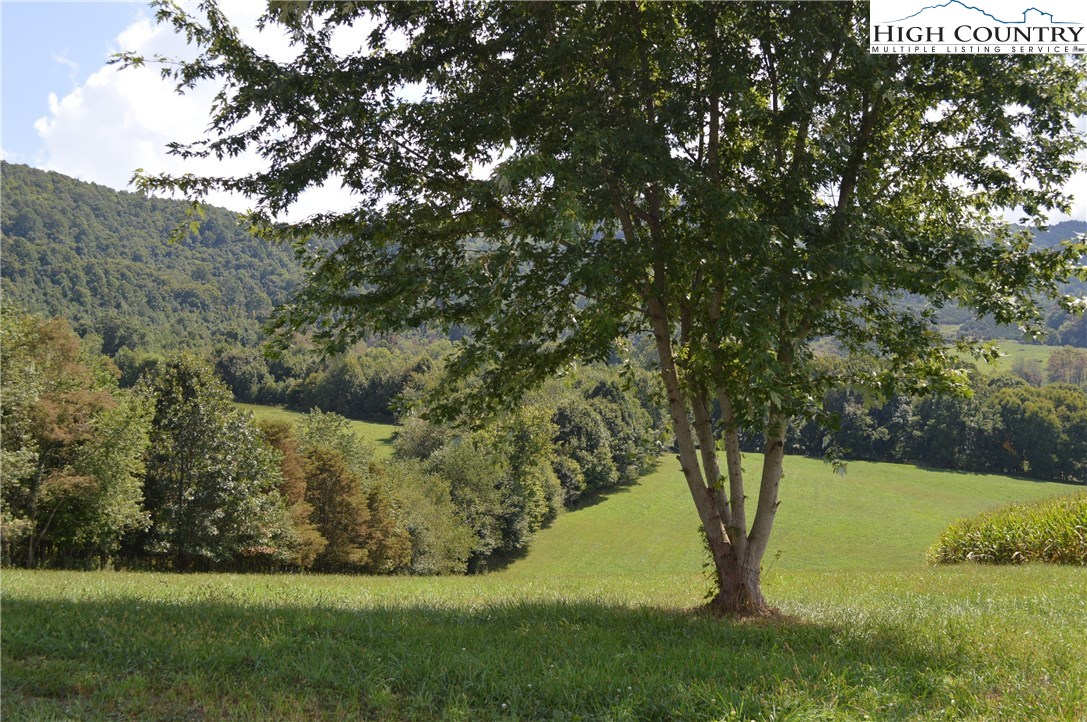 241 Shiloh Ch Road Sparta, NC 28675 - Photo 41 of 42 Gallery Image 41